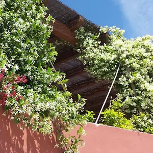  Bed & Breakfast Gato Preto De - Adults Only